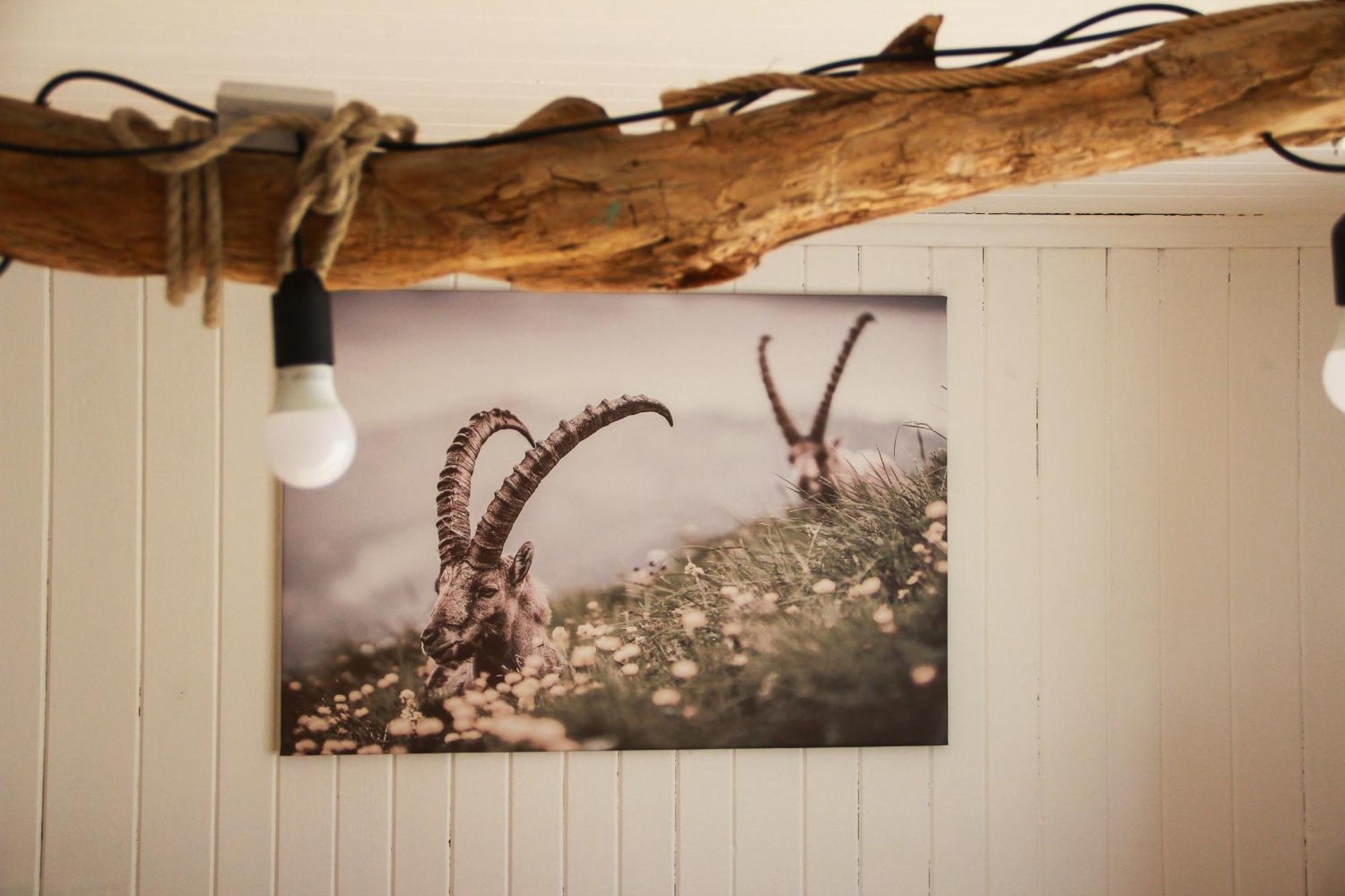 Ferienhaus Zum Klettersteig - Kletterwand, Abstellraum Fuer Ski Oder Bikes, Sauna, Kellerbar, Villa Bürs Eksteriør bilde